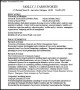 Preparing your Professional Resume PDF