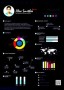Pro Infographic Resume