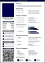 Professional CV Template
