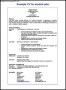Professional CV Template  Free
