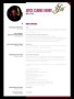 Professional Hair Stylist Resume Sample