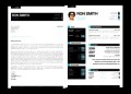 Professional Resume