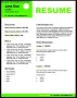 Professional Resume Layout