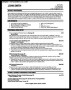 Professional Resume Template Example
