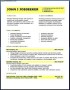 Professional Resume Templates Sample