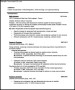 Programmer Resume Format