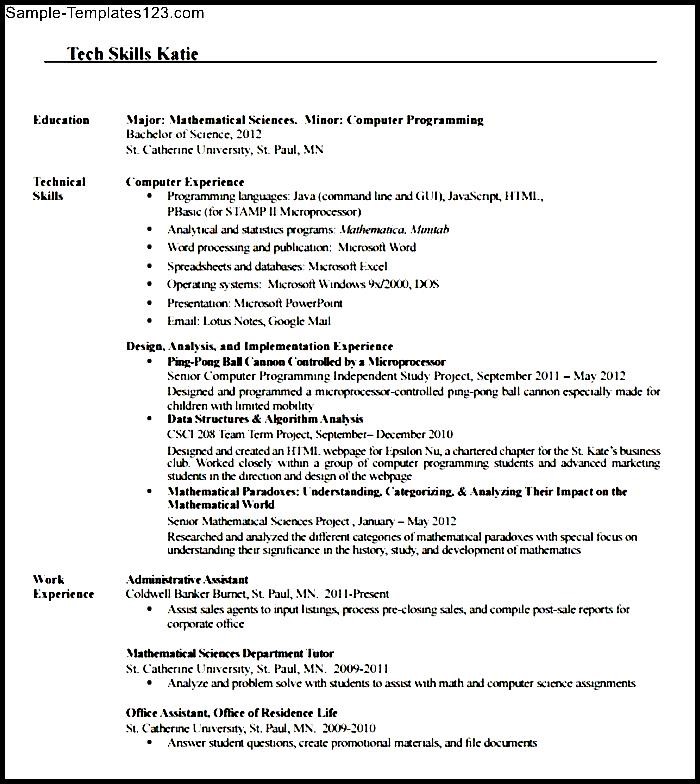 programmer resume format pdf  sample templates