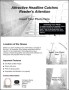 Real Estate Flyer Template