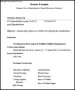 Resume Example for Summer Internship