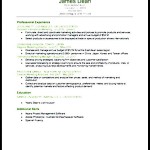 Reverse Chronological Resume Example
