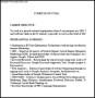 SEO Analyst PDF CV