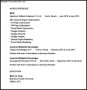 SEO Analyst Web developer PDF