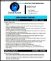 SEO Resume Templates