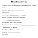 Sample Blank Payroll Form