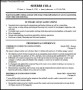 Sample College Resume Template