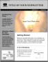 Sample Company Newsletter Template