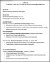 Sample Criminal Justice Resume Template