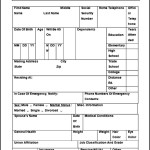 Sample Employee Record Template