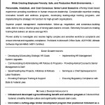 Sample Executive Resume Template for HR VP