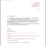 Sample Letter of Reference Template Free PDF Format Download
