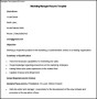 Sample Marketing Manager Resume Template