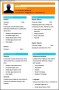 Sample Network Administrator Resume Template