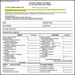 Sample PDF Business Financial Statement Form