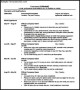 Sample Professional CV Template