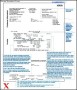 Sample Professional Invoice