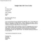 Sample Sales Job Cover Letter Example