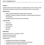 Sample Territory Manager Resume Example