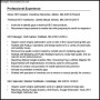 Seo Resume PDF