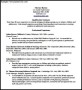 Simple CV Template PDF