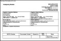 Standard Invoice Document