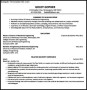 Student CV Example