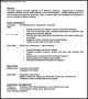 Student CV Template Free