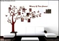 Wall Decal Large Photo Family Tree