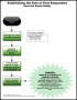 Establishing the Role of First Responders – Exercise Scene Safety Template