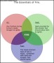 Fire Venn Diagram Template