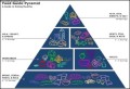 Food Pyramid Diagram Template