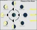 Phases of The Moon Astronomy Chart Template