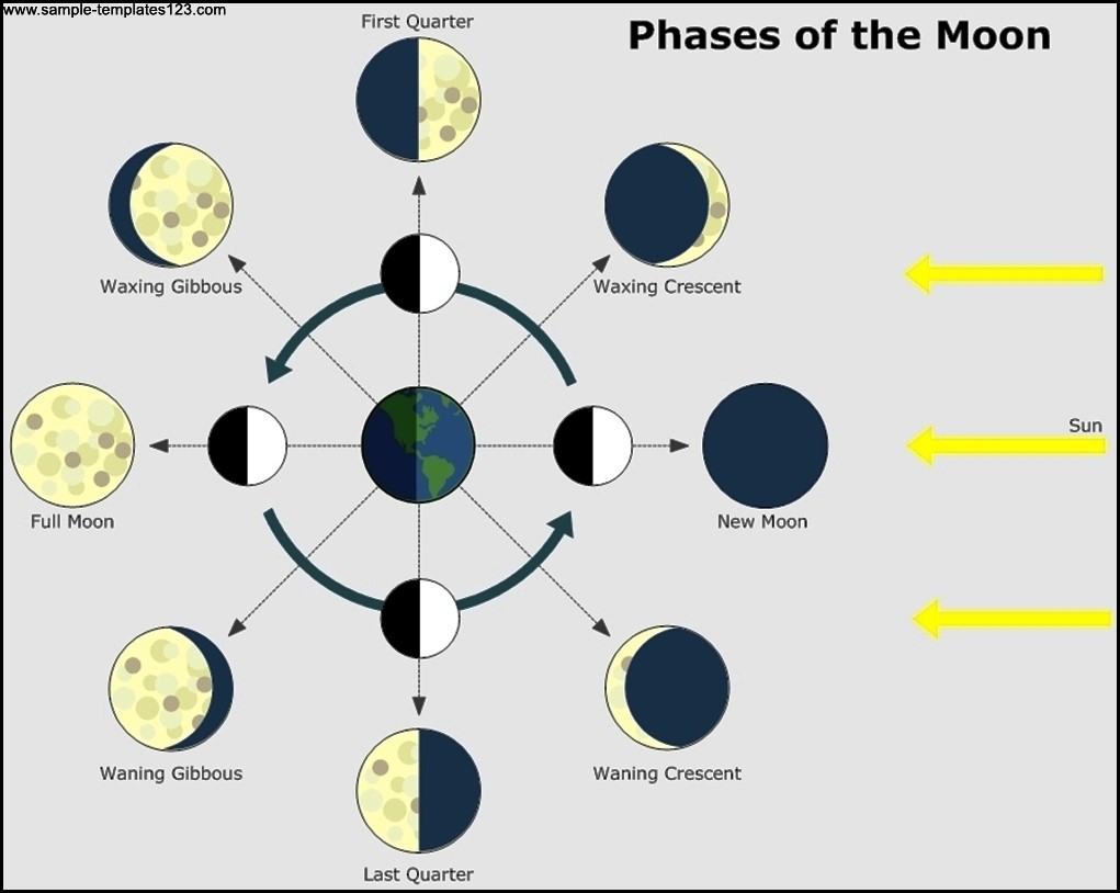 Phases of The Moon Astronomy Chart Template Sample Templates Sample