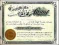 Attendance Certificates Template