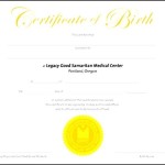 Birth Certificate Template PSD