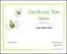 Blank Certificate Template for Kids