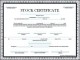 Blank Stock Certificate Template