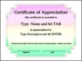 Certificate of Appreciation Professional