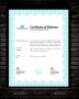 Certificate of Appreciation Template