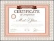 Certificate of Completion Example