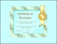 Certificate of Excellence Template